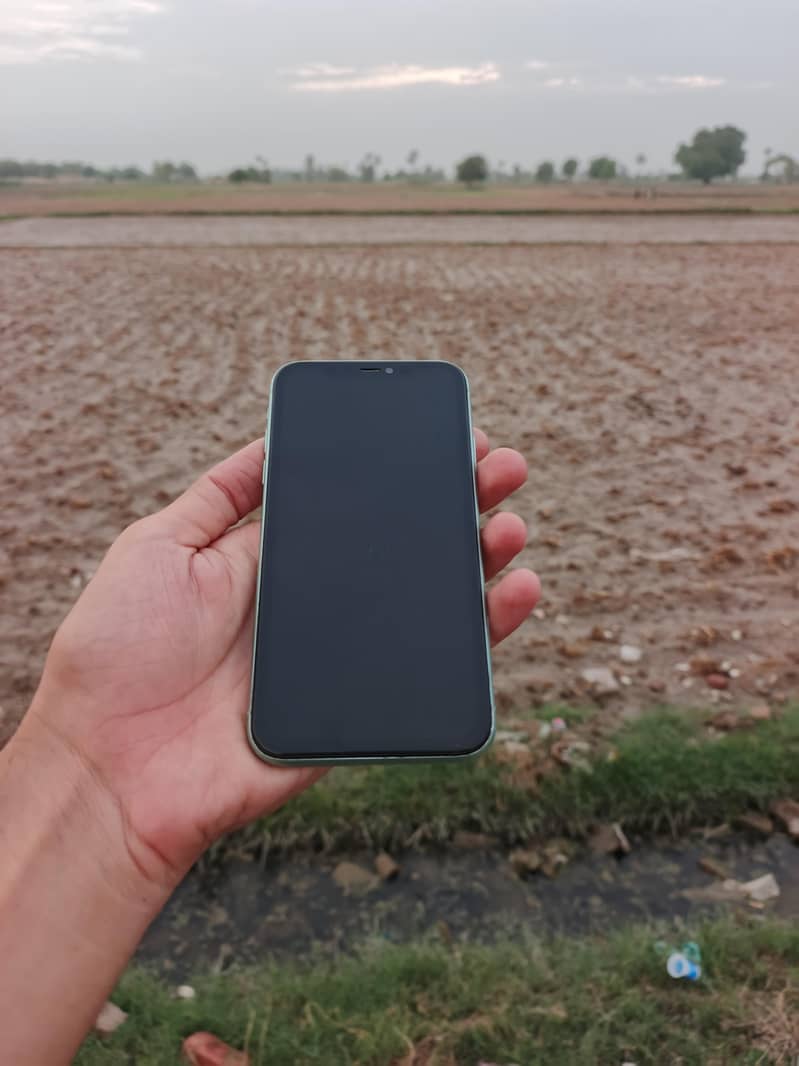 Apple iPhone 11 4