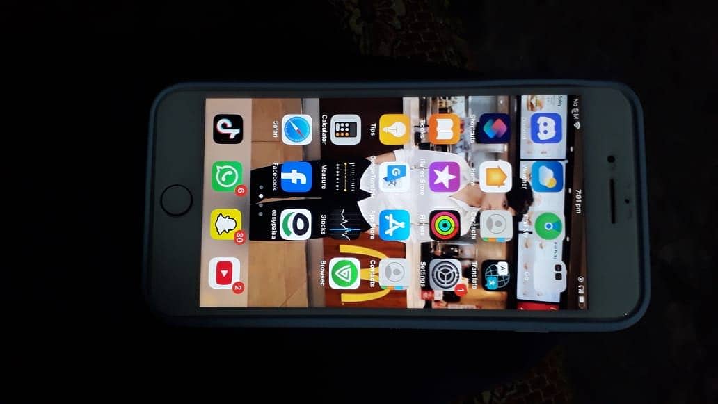 Apple iPhone 8 Plus 1