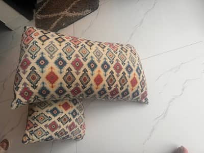 2 sofa cushions