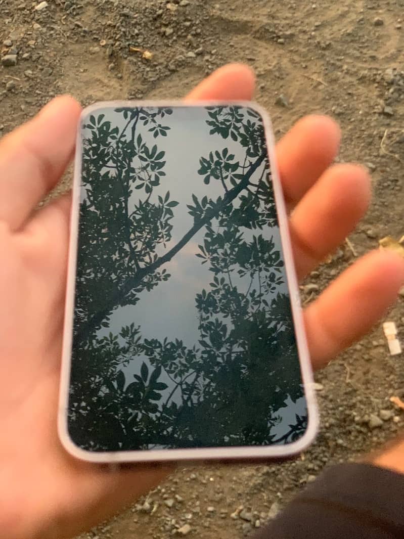 Apple iPhone 13 mini 0
