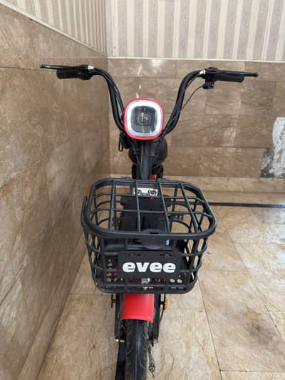 Evee flipper