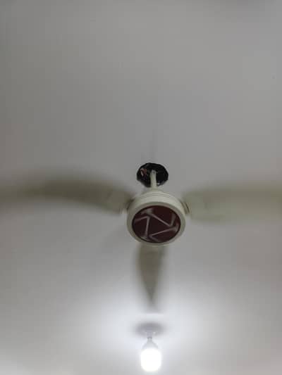 Celling fan
