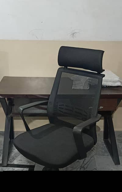 mesh back exclusive office chair with removeable headrest