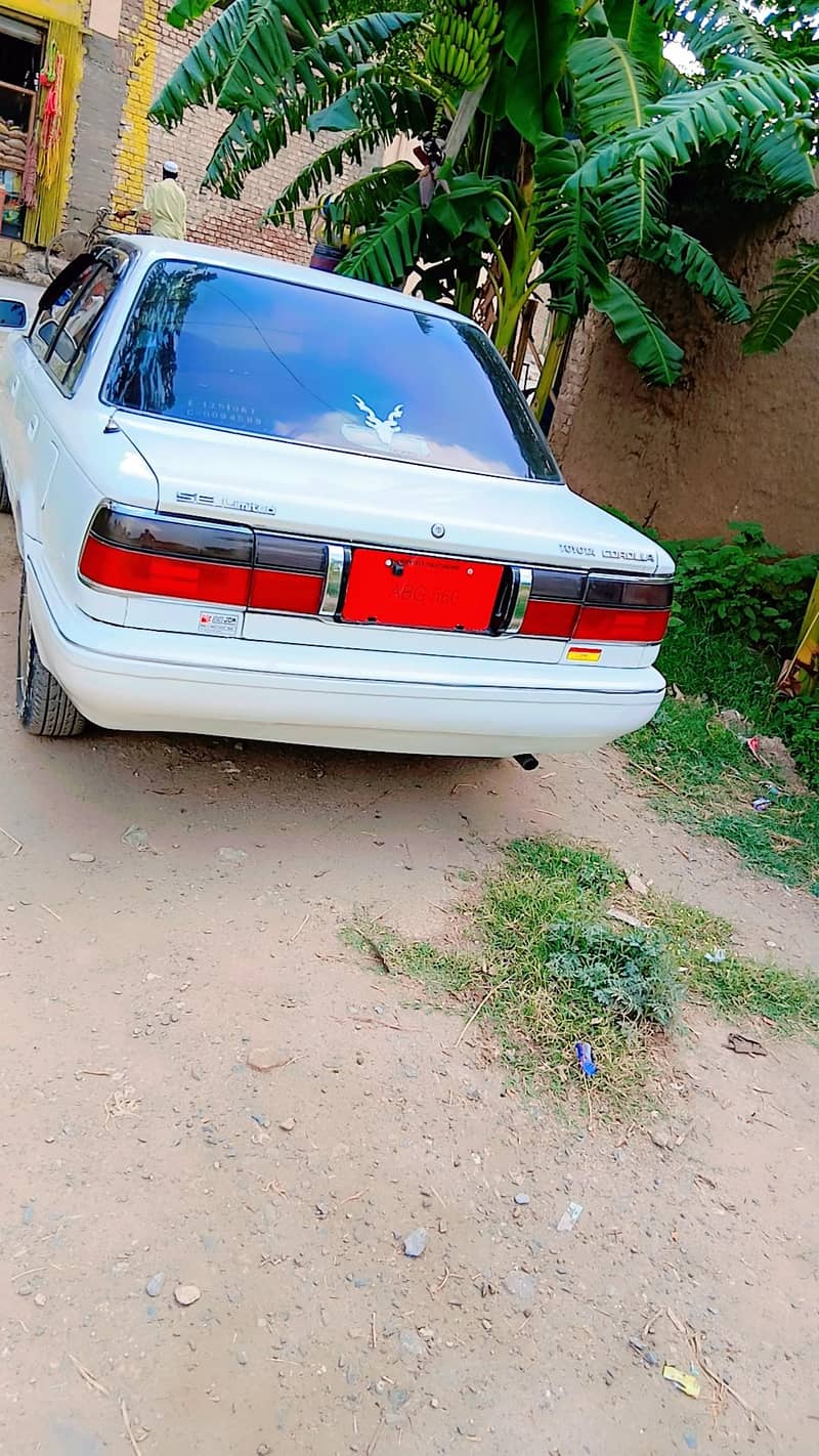 carolla 1