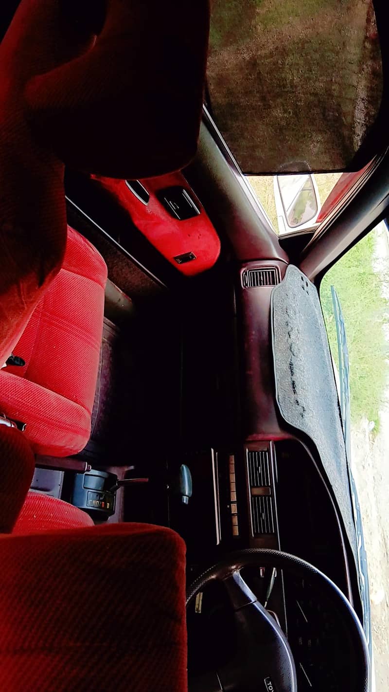 carolla 6