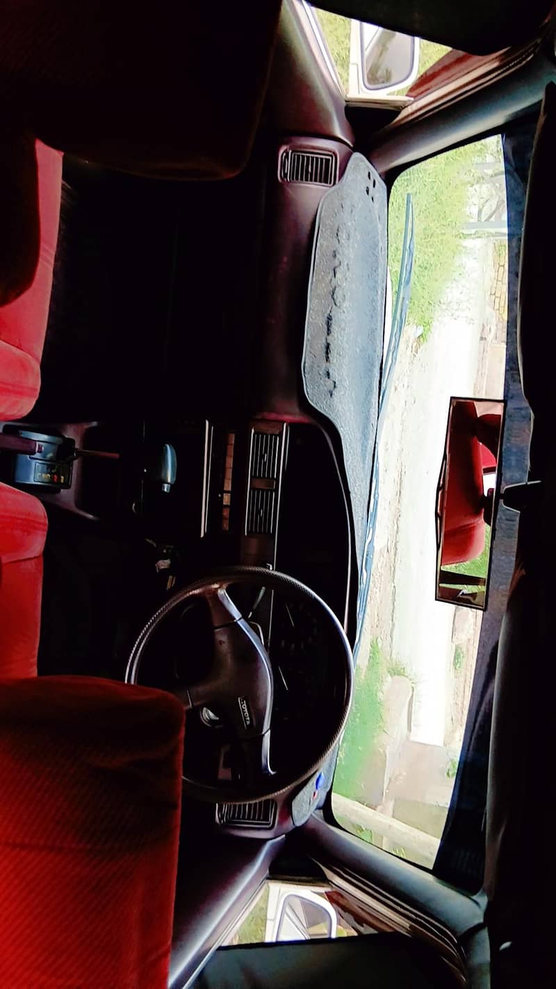 carolla 8