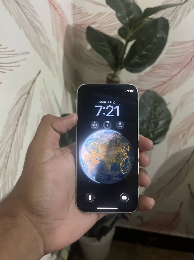 Apple iPhone 12 mini 0