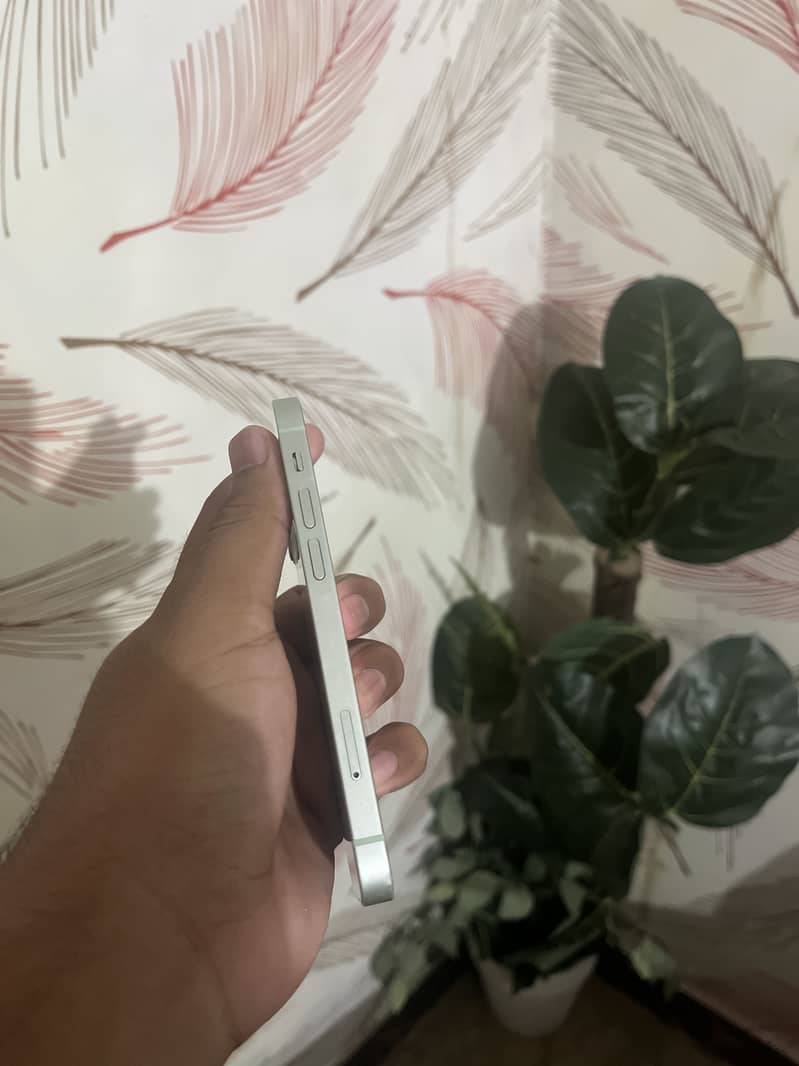 Apple iPhone 12 mini 1