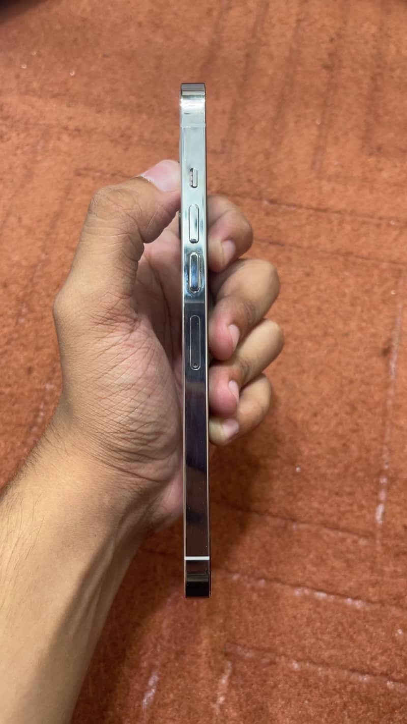 Apple iPhone 13 Pro Max 2