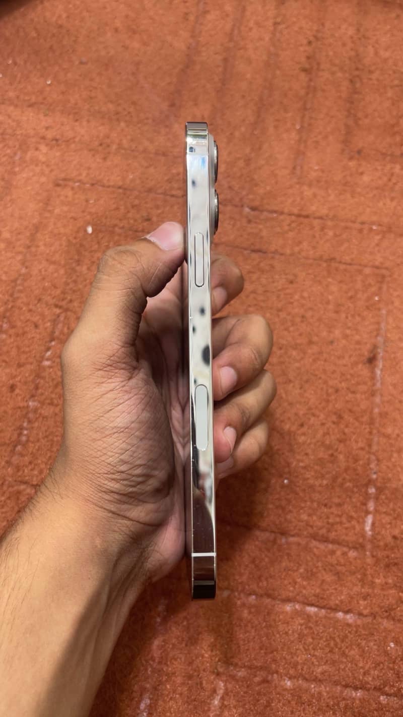 Apple iPhone 13 Pro Max 3