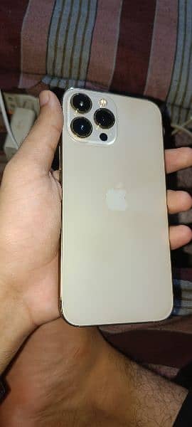 Iphone 13promax