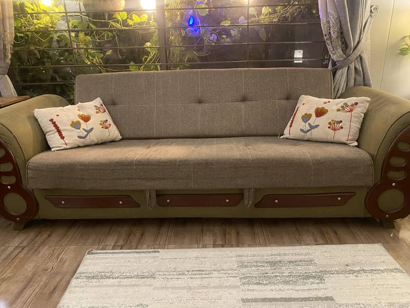 Sofa cum bed 1