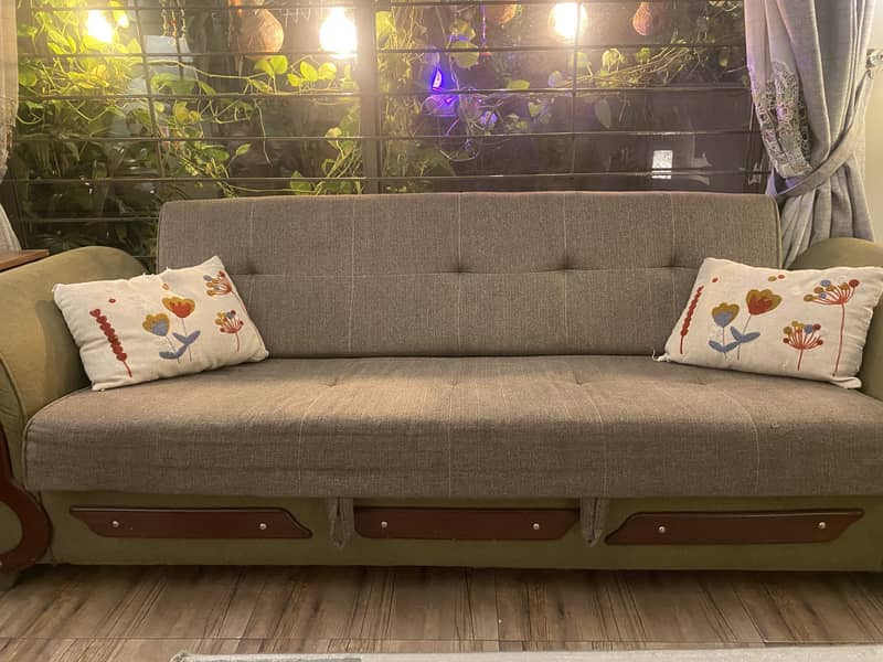 Sofa cum bed 2