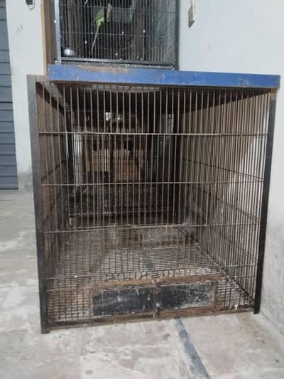 Big cage