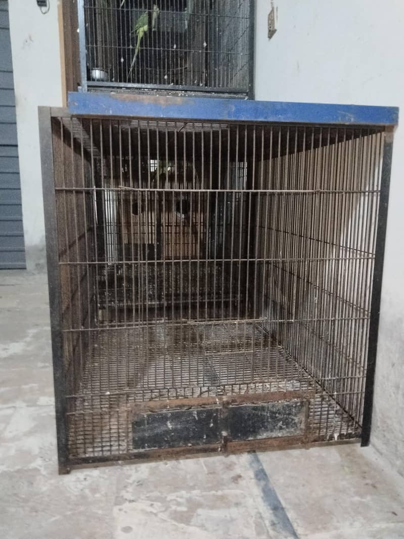 Big cage call 03217242445 2