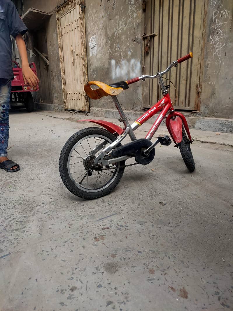 biccycle 1