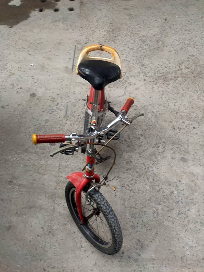 biccycle 3