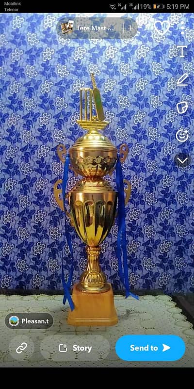 the trophy
