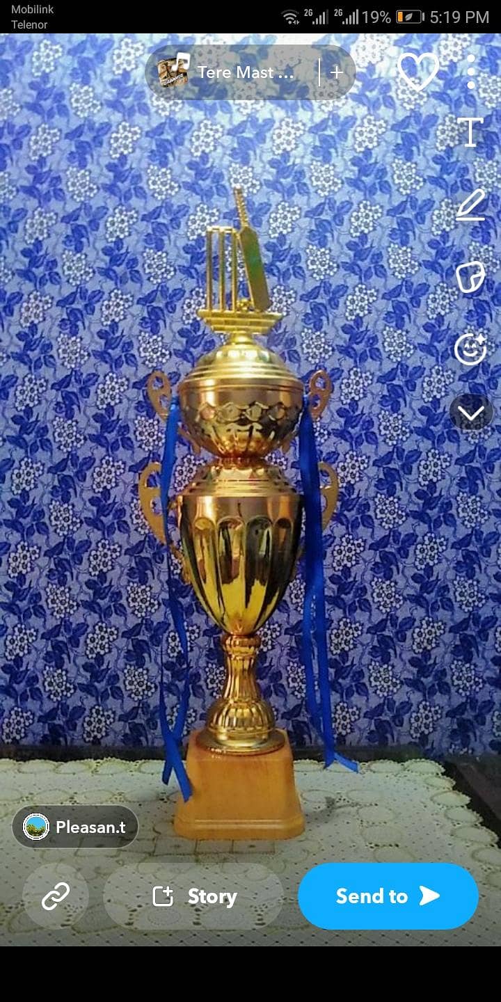 the trophy 0