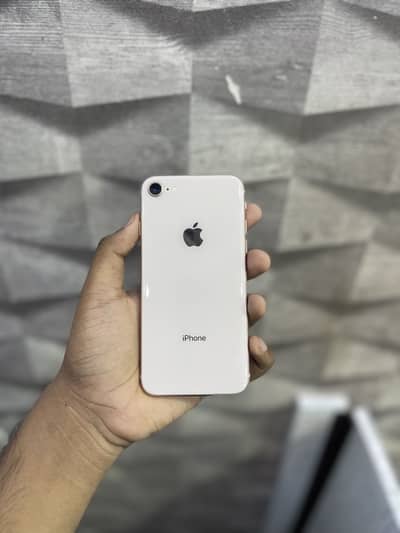 Apple iPhone 8 pta approval