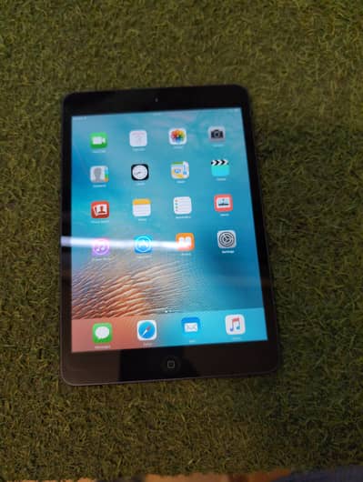 Apple Ipad mini 1