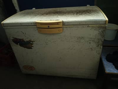 (Chest Freezer)