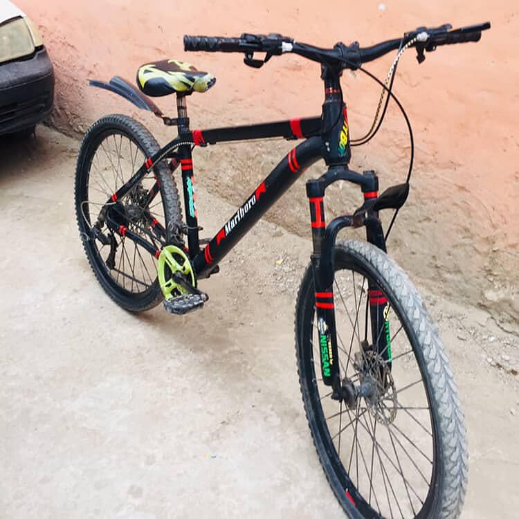 MARBRO CYCLE 2