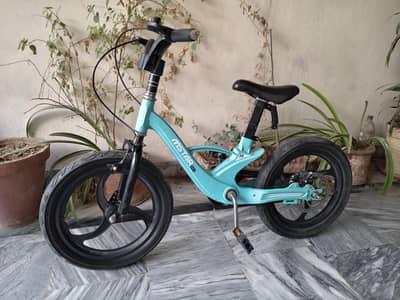Bicycle in excellent condition
