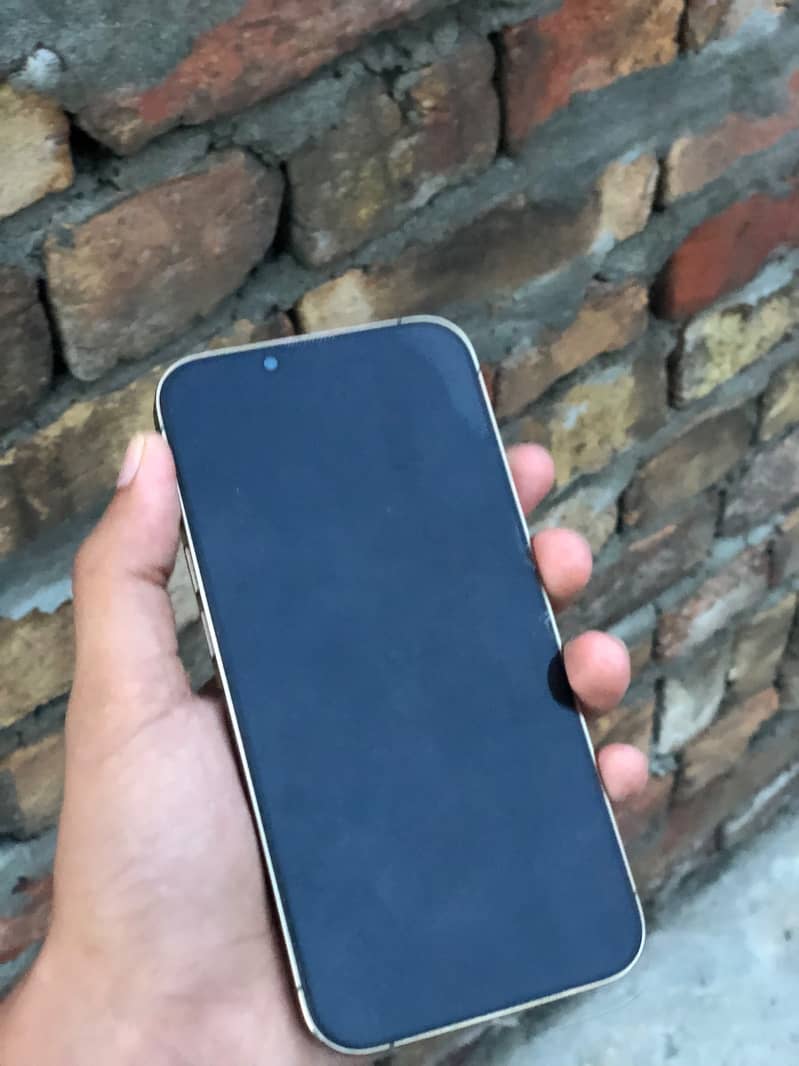 Apple iPhone 13 Pro 2