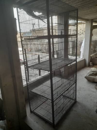 Parrot Cages
