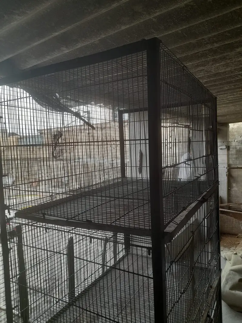 Parrot Cages — photo 2