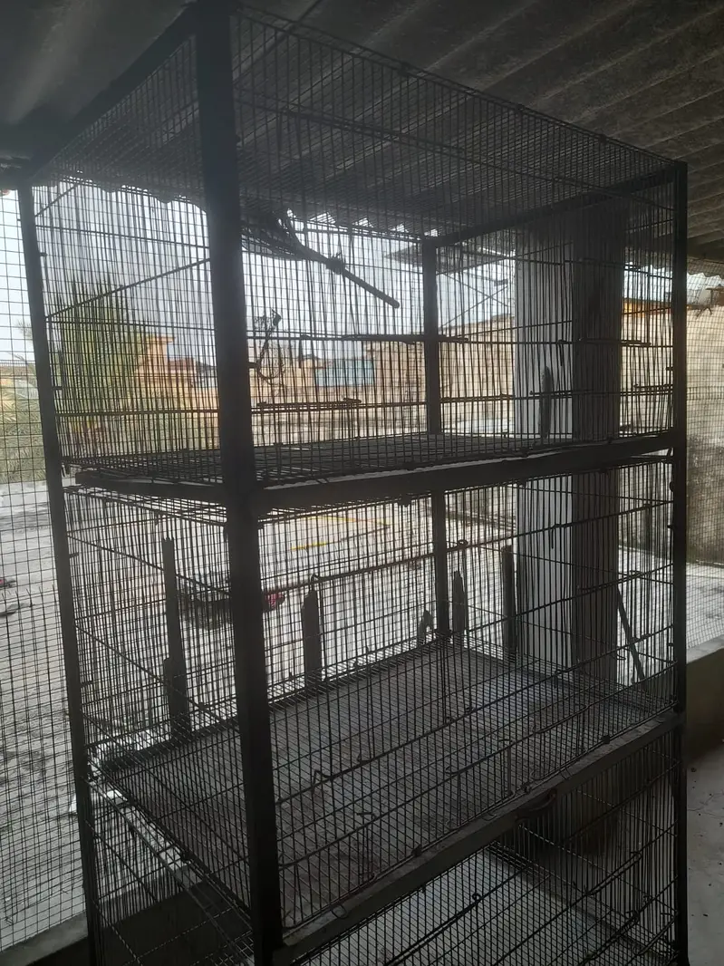 Parrot Cages — photo 6
