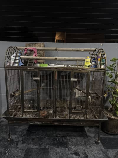 Bird cage