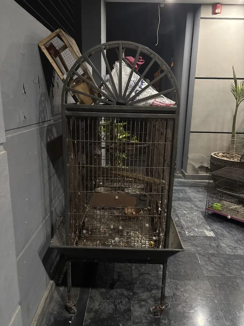 Bird cage — photo 2