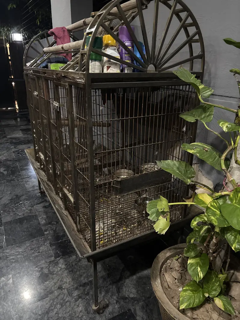 Bird cage — photo 3
