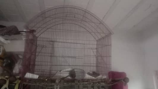 cage for sale 03054636833