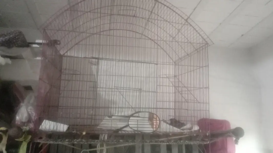 cage for sale 03054636833 — photo 2