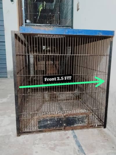 Big cage call 03217242445