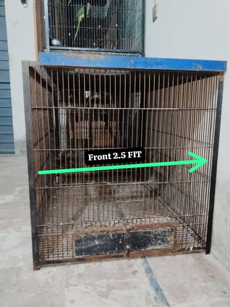 Big cage call 03217242445 0