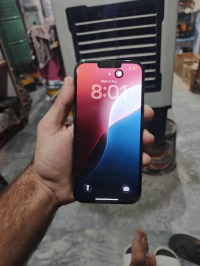 Apple iPhone 13 Pro Max