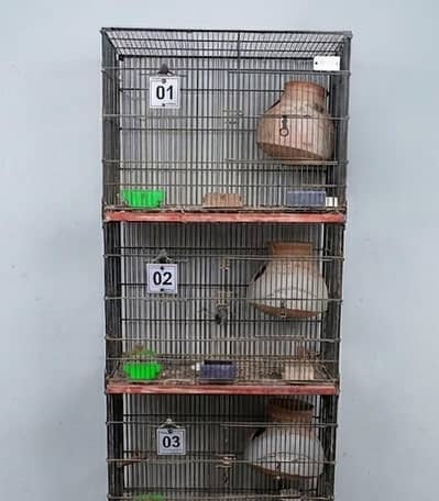 7 Master Cages [Pinjra] For Sale Vip Condition