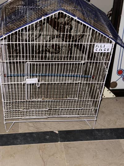 parrot big cage