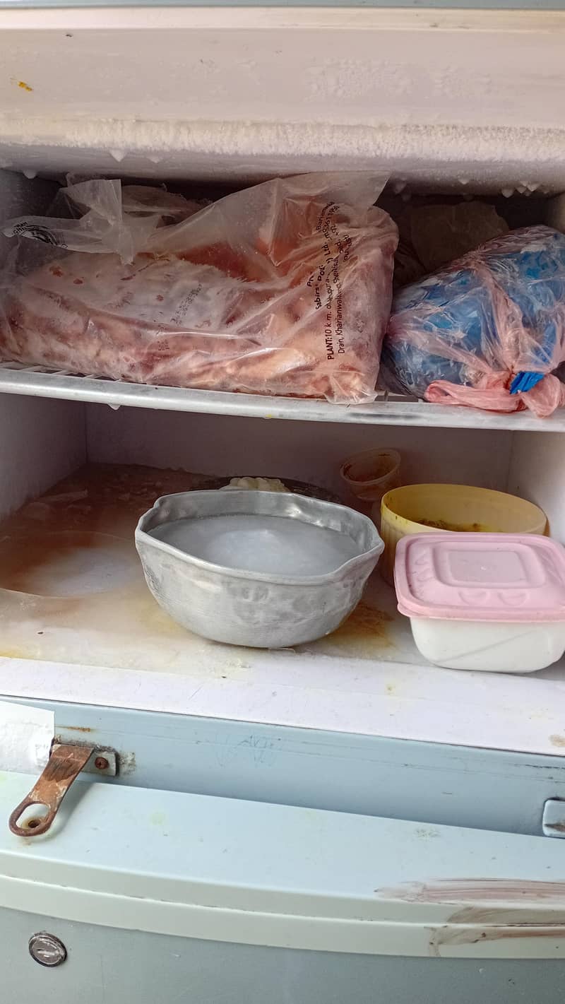 frige 0