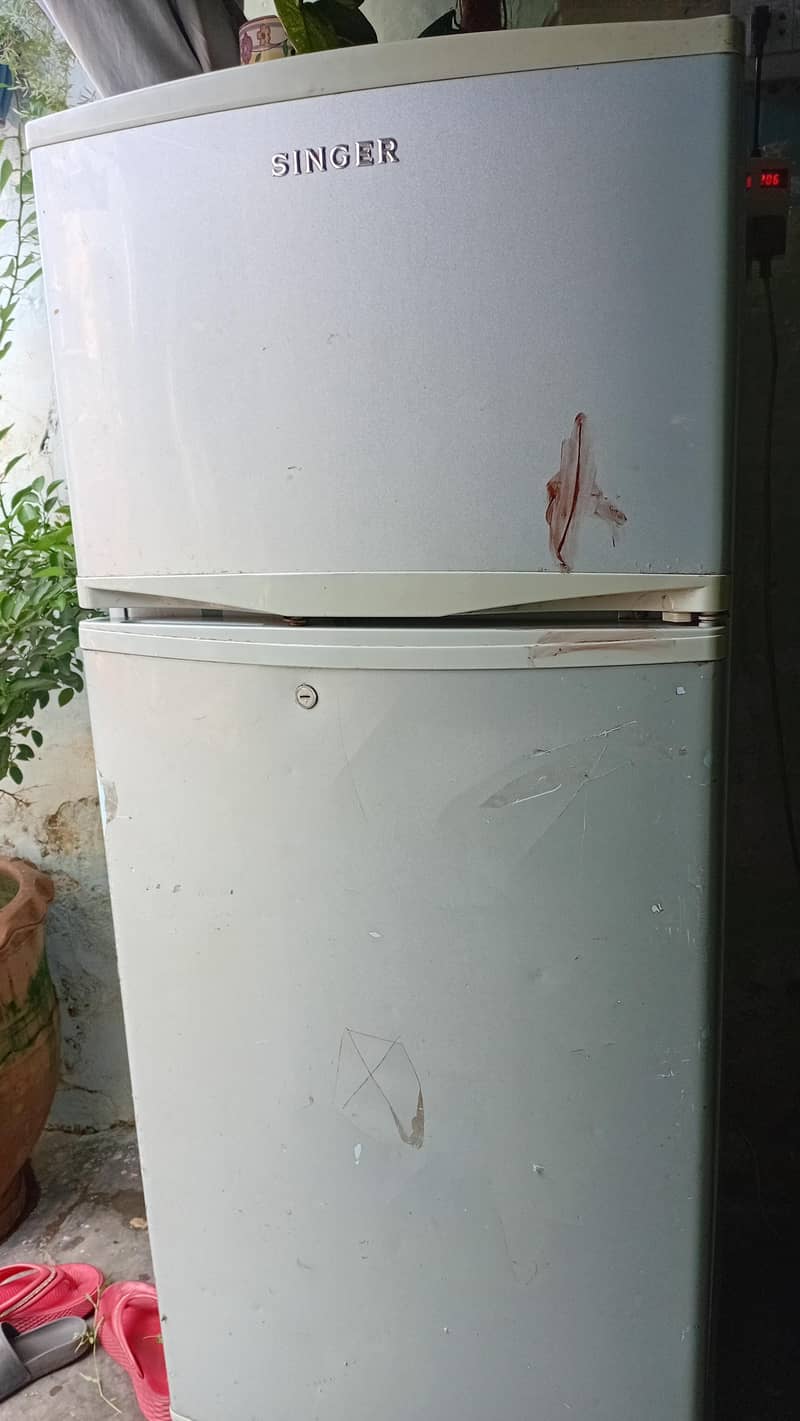 frige 1