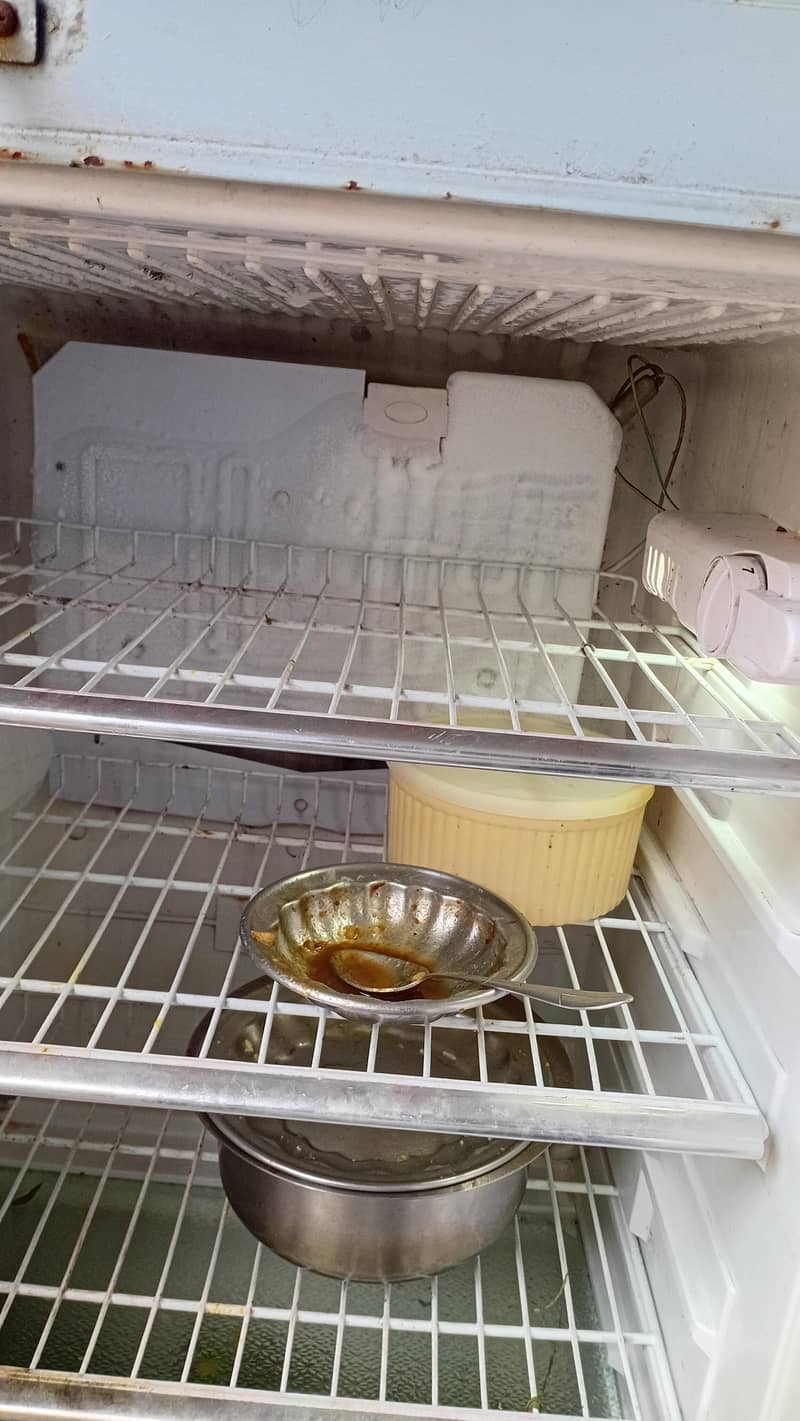 frige 2