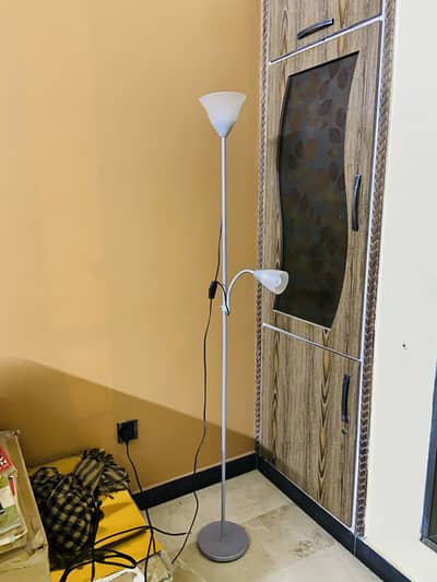 Imported Lamps