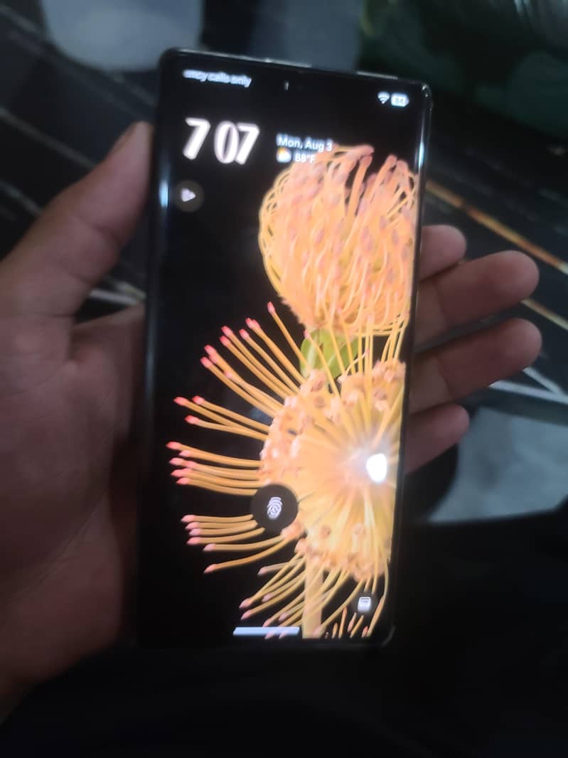 Google Pixel 6 Pro 2