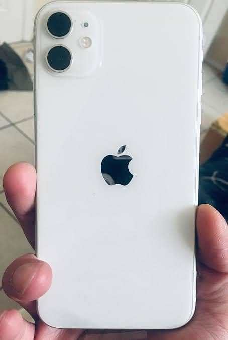 iPhone 11 0