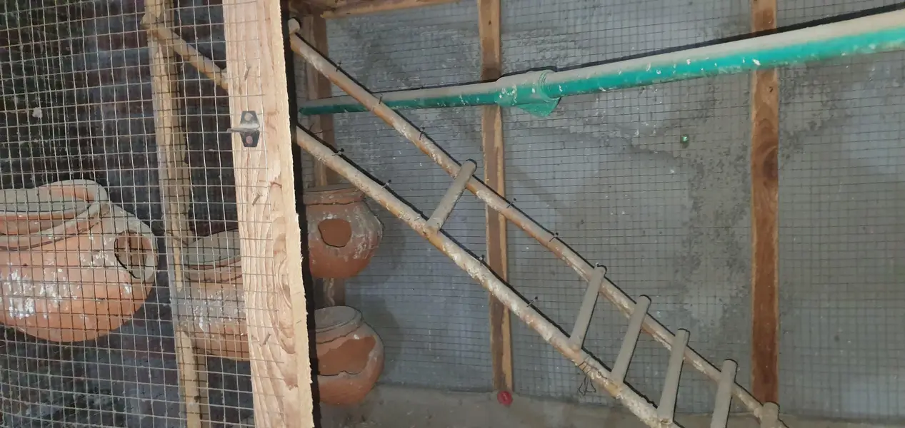 cage for sale. parrots our hens — photo 2