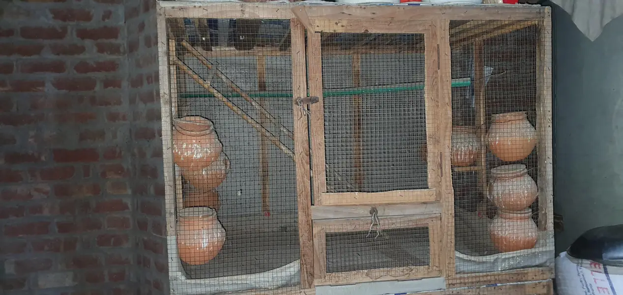 cage for sale. parrots our hens — photo 3
